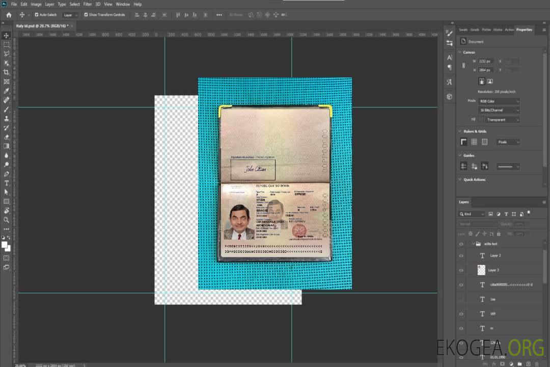 Photolook du passeport béninois 2022-présent template